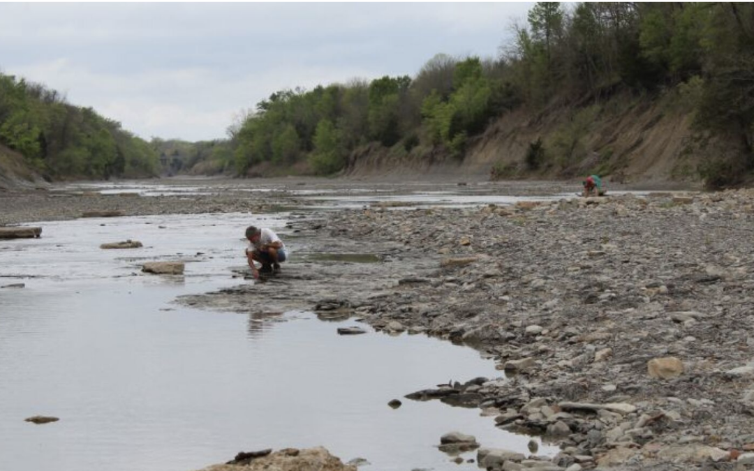 Ladonia Fossil Park Provides Many Treasures; Site Recently Moved