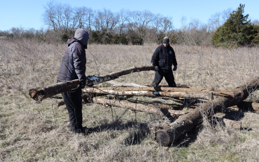 Workers placing logs for fish structures January 2025