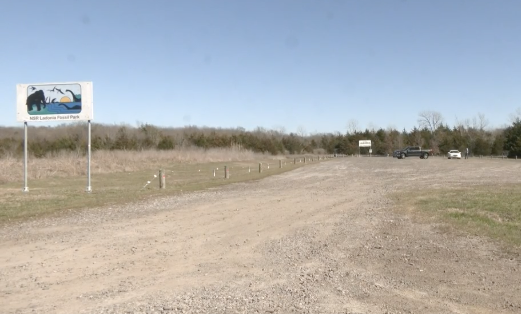 The Temporary Ladonia Fossil Park