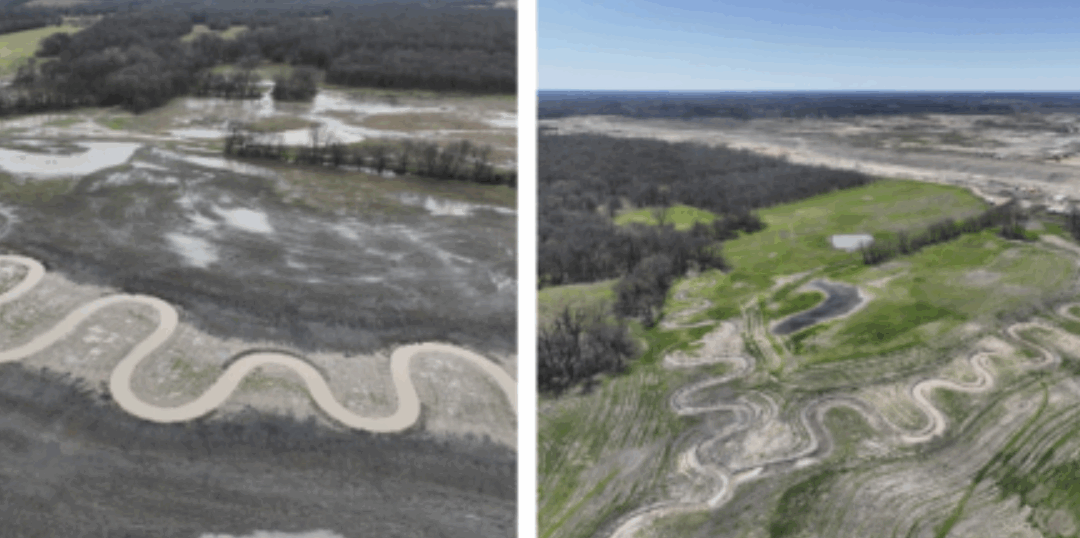 New Streams Flow This Spring