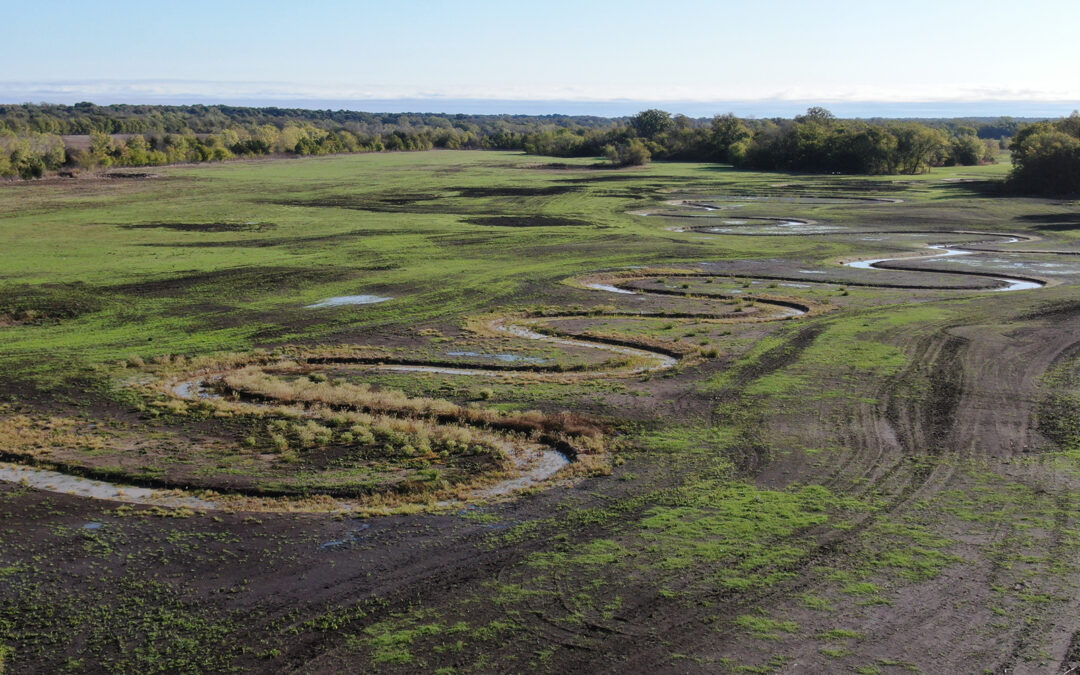Flowing again: Texas restoration project returns streams to natural state