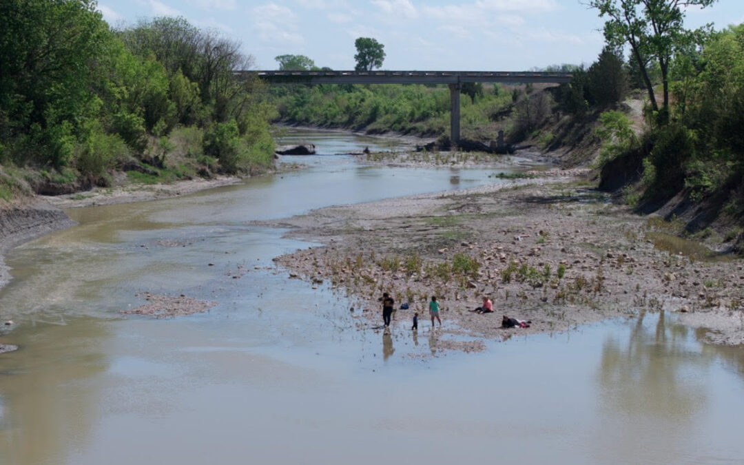 Fossil hunters at new park – April 2026